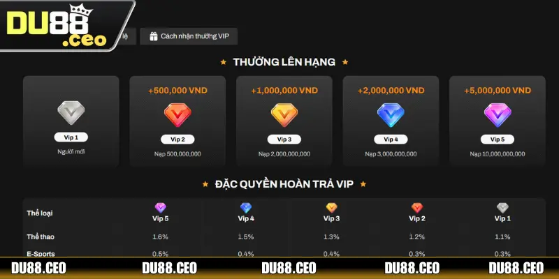 Khuyến mãi DU88 đặc quyền VIP 