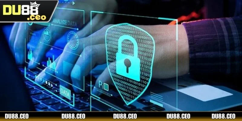 Người chơi cần hiểu rõ và tuân thủ các nghĩa vụ và trách nhiệm của mình